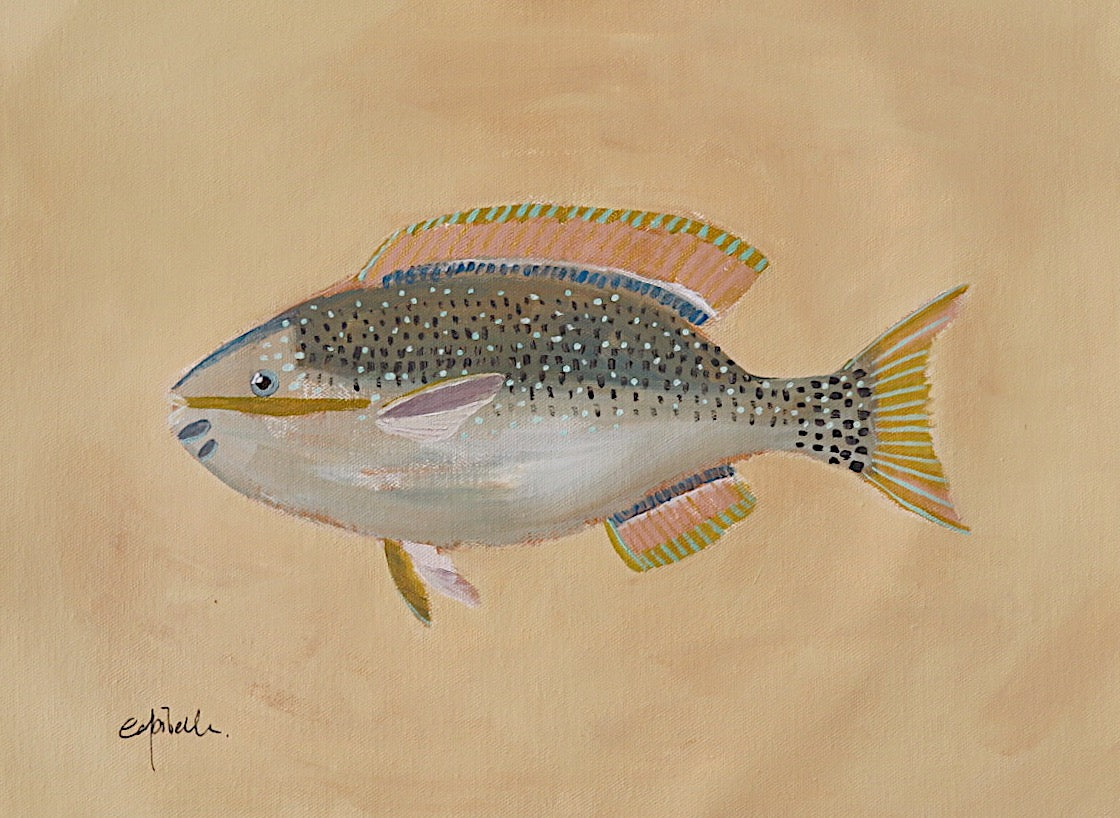 Blue Fish