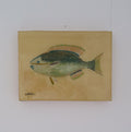 Blue Fish