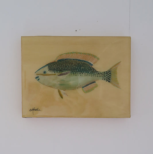 Blue Fish